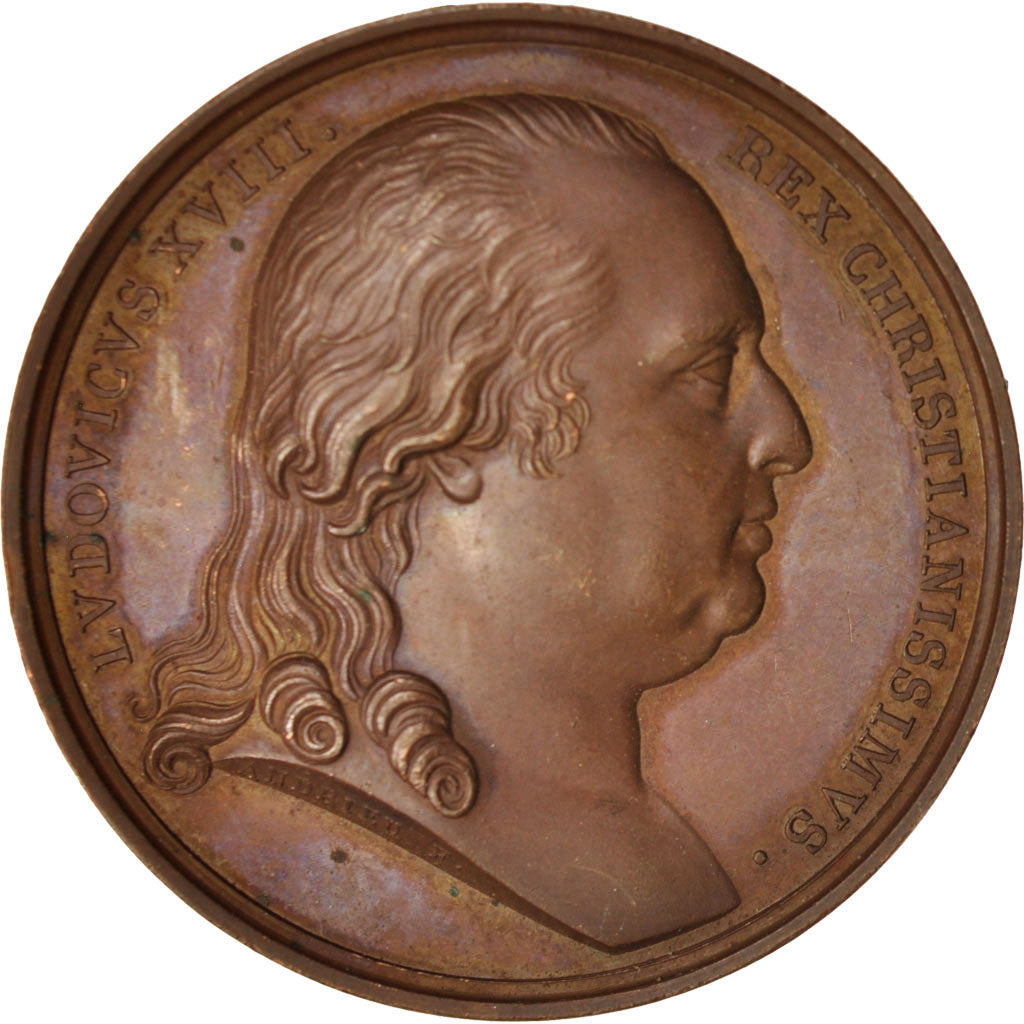 France, Medal, Louis XVIII, Politics, Society, War, 1816, Andrieu, AU(55-58)