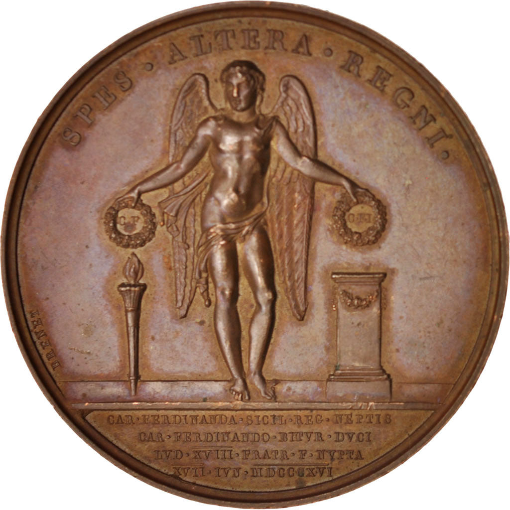 France, Medal, Louis XVIII, Politics, Society, War, 1816, Andrieu, AU(55-58)