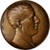 Frankrijk, Medal, Henri Brin, Medicine, 1931, Chesneau, ZF+, Bronze