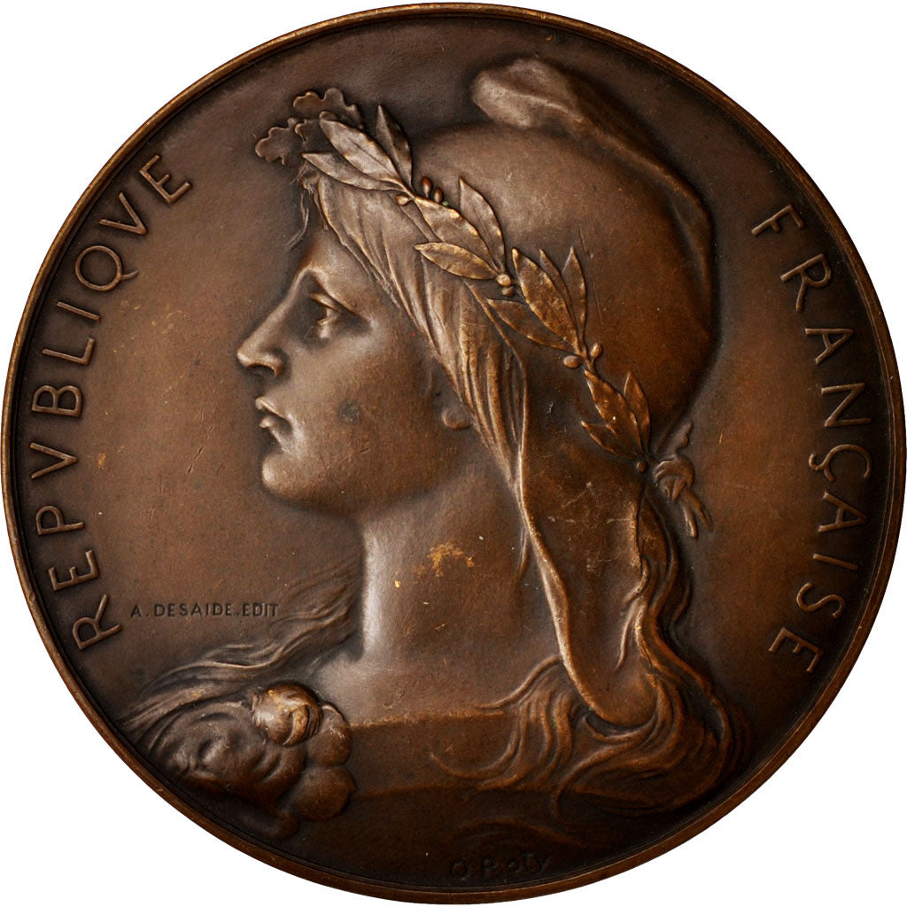 Frankreich, Medal, Ville de Joinville Le Pont, Arts & Culture, 1899, Roty