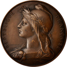 Frankreich, Medal, Ville de Joinville Le Pont, Arts & Culture, 1899, Roty