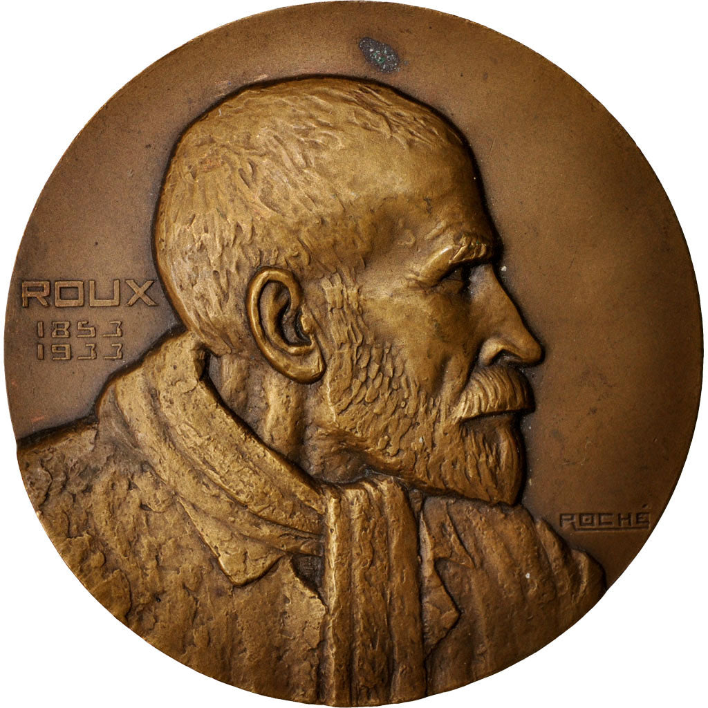 France, Medal, Roux, Arts & Culture, 1933, Roché, TTB+, Bronze