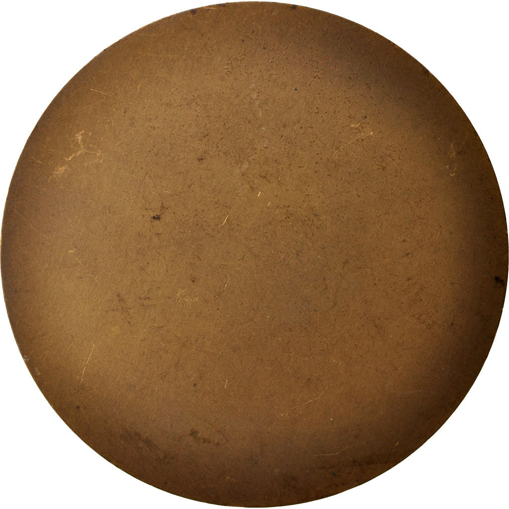 France, Medal, Roux, Arts & Culture, 1933, Roché, TTB+, Bronze