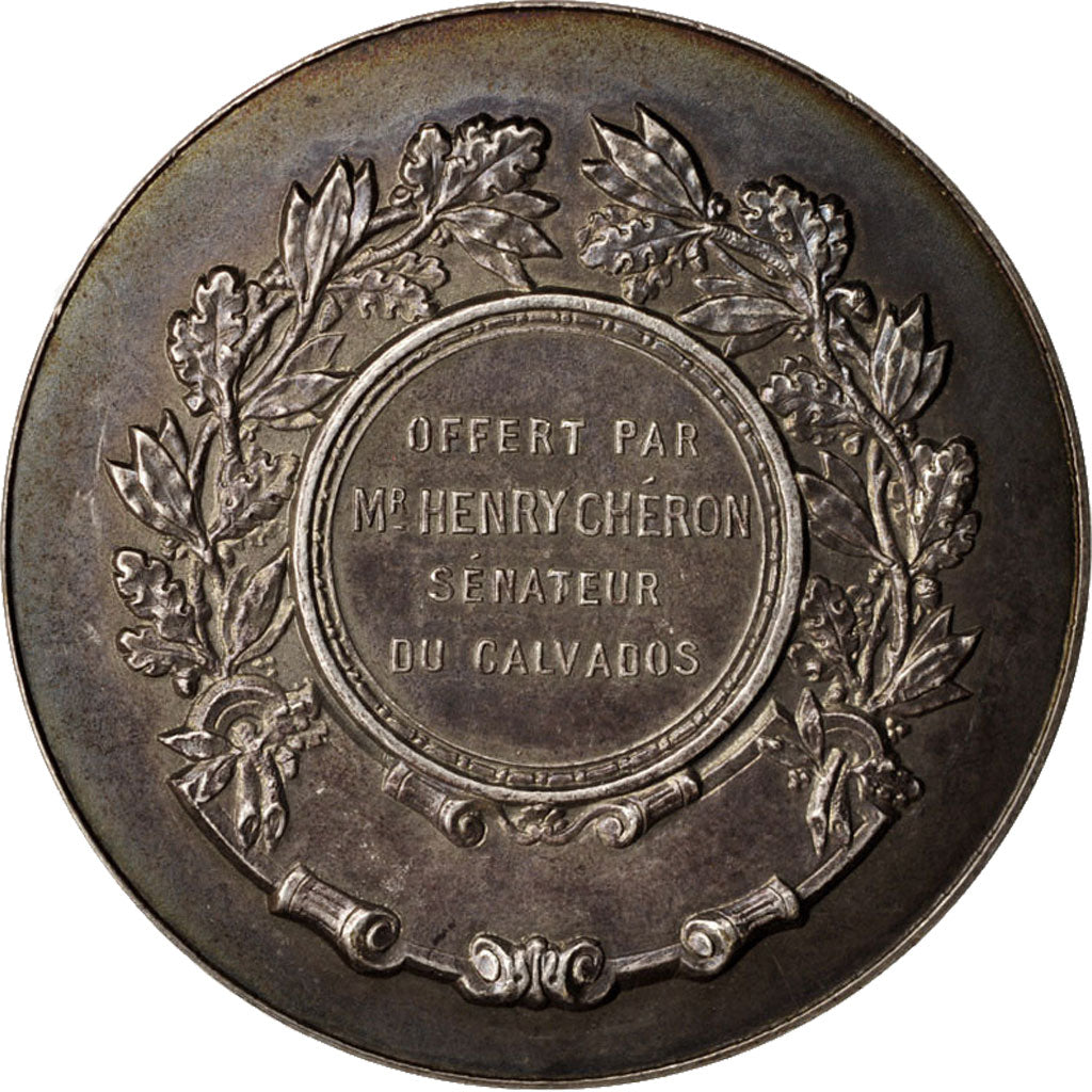 France, Medal, Chéron Henri, Sénateur, Politics, Society, War, Bertrand