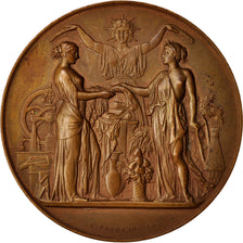 France, Medal, Société fraternelle des Protes des imprimeries typographiques