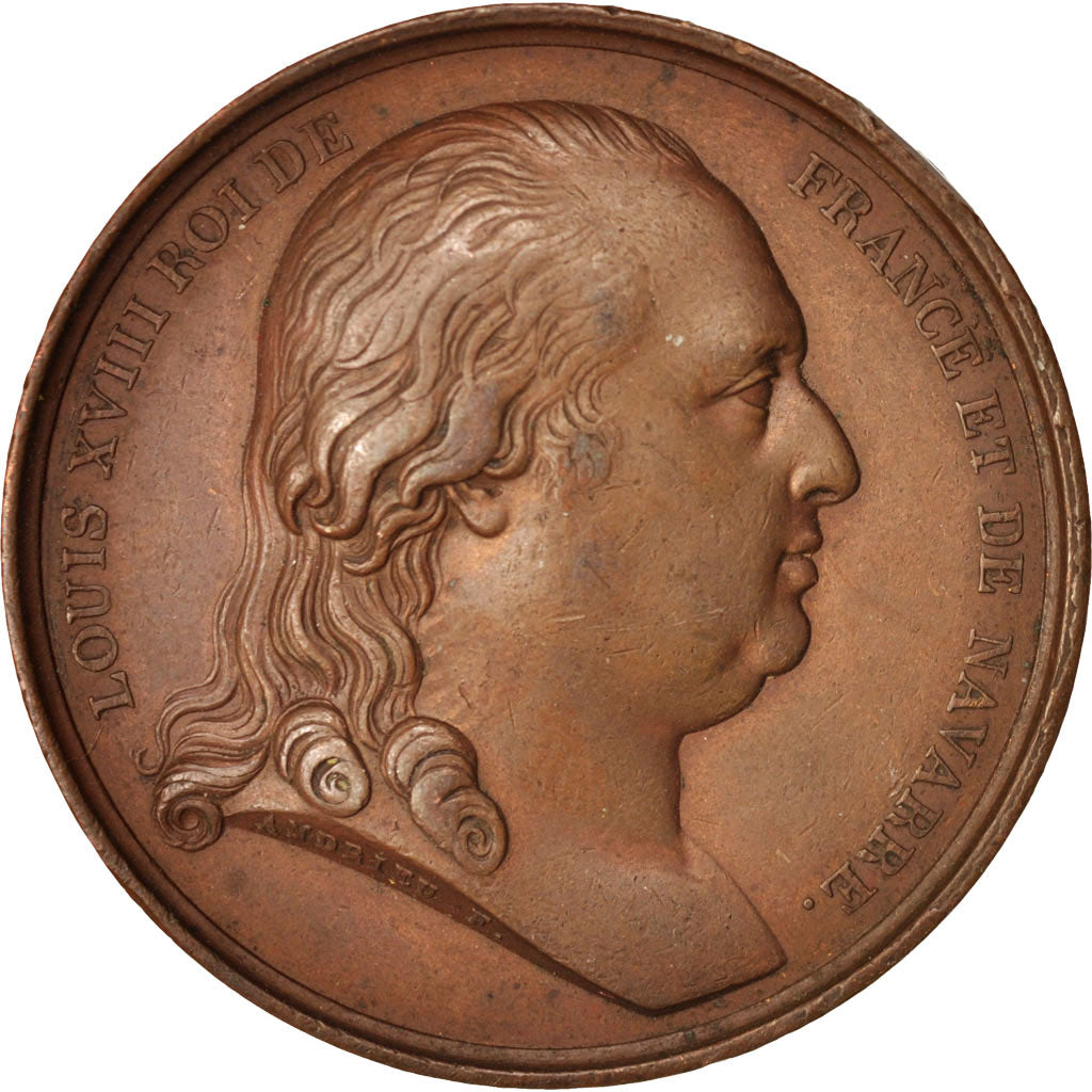 France, Medal, Charte Constitutionnelle, Louis XVIII, History, 1814, Andrieu