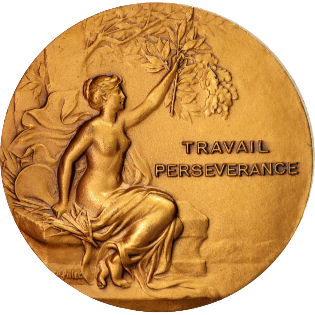 France, Medal, Confiserie Verquin, Business & industry, 1978, Pillet, SUP