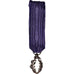France, Ordre des Palmes Académiques, Medal, Excellent Quality, Argent