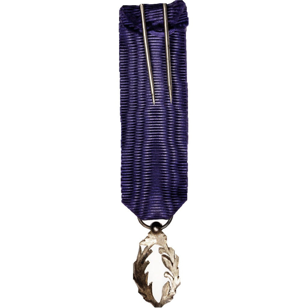 France, Ordre des Palmes Académiques, Medal, Excellent Quality, Argent