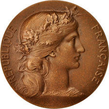 Francia, Medal, Préfet du Nord-Pas-De-Calais, Politics, Society, War, 1973