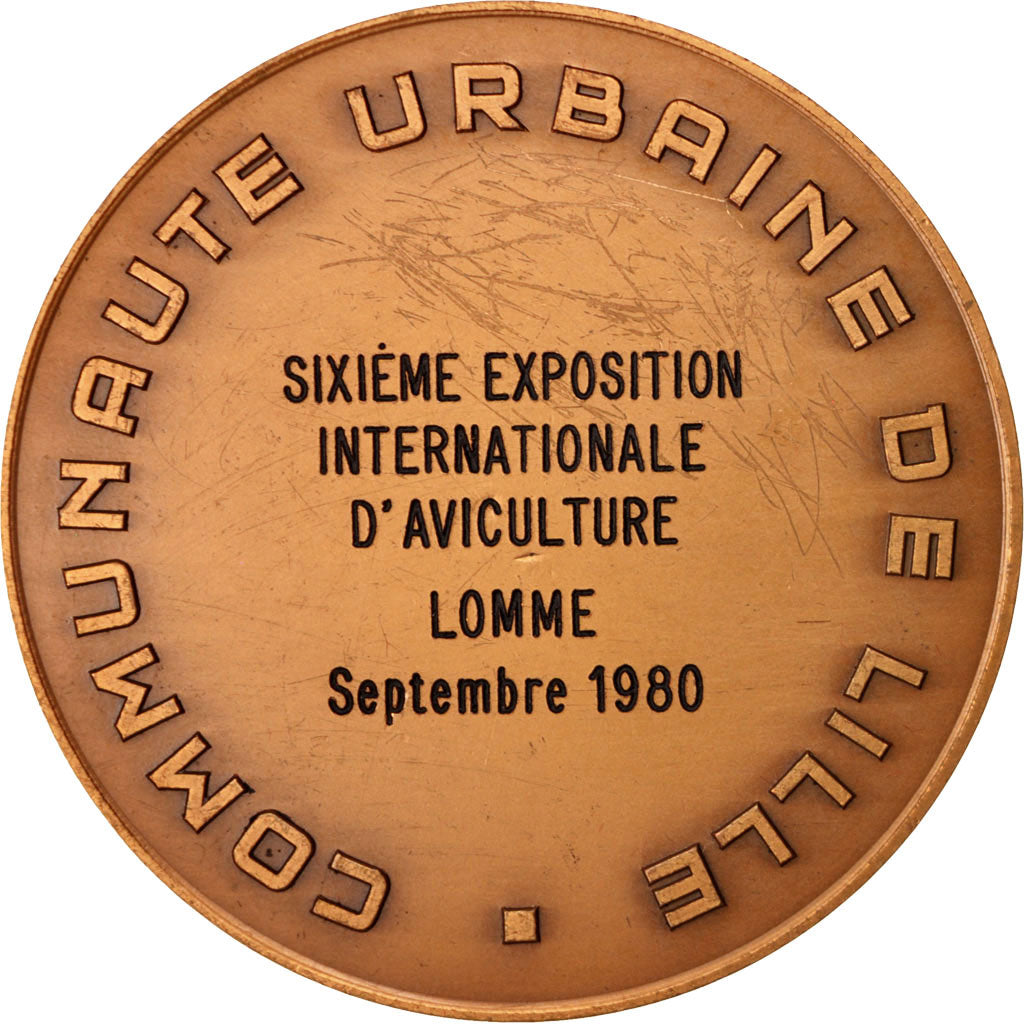 Francia, Medal, Communauté urbaine de Lille, Politics, Society, War, 1980, EBC