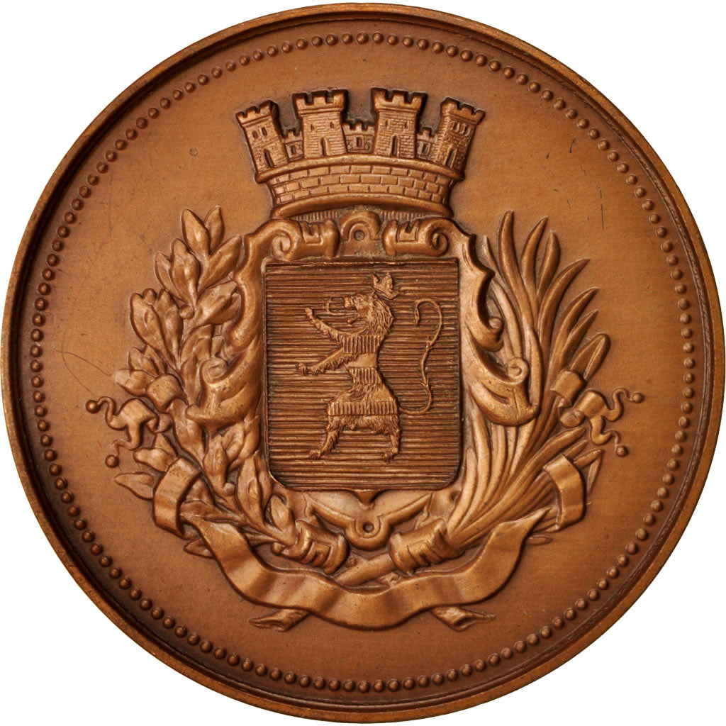 Francia, Medal, La ville de Wattrelos, Politics, Society, War, 1982, MBC+