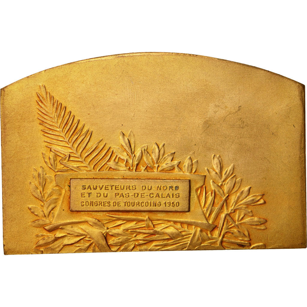France, Medal, Sauveteurs du Nord, Congrès de Tourcoing, Politics, Society