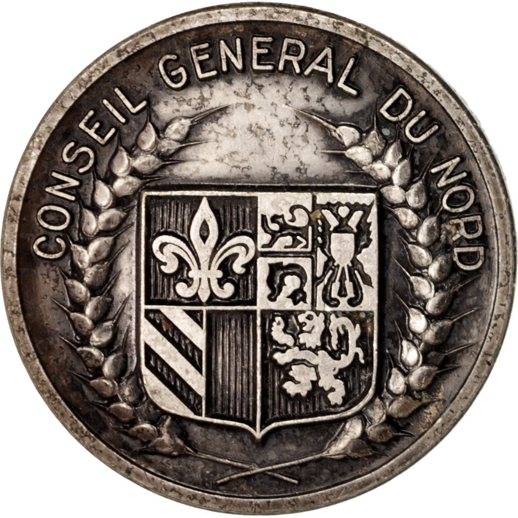 Francia, Medal, Conseil général du Nord, Politics, Society, War, BB+, Bronzo