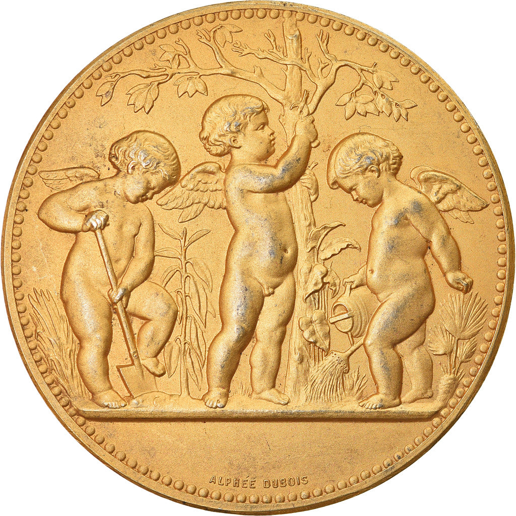 France, Médaille, Société Tourangelle d'Horticulture, Alphée Dubois, TTB+