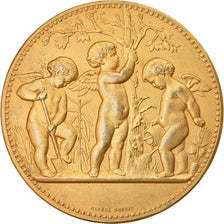 France, Médaille, Société Tourangelle d'Horticulture, Alphée Dubois, TTB+