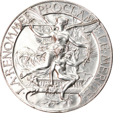 France, Medal, Exposition Internationale et Coloniale de Saint-Etienne, 1895