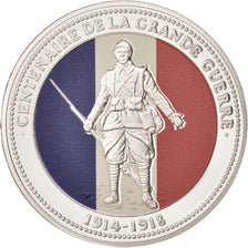 France, Medal, Centenaire de la Grande Guerre, History, 2014, MS(65-70), Silver