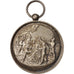 France, Medal, Sapeurs-pompiers de La Roche-Guyon, Politics, Society, War, XIXth