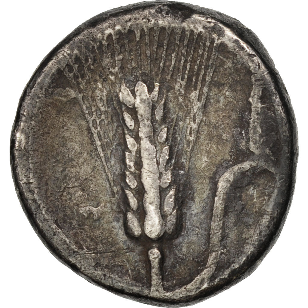 Coin, Lucania, Drachm, 280-270 BC, Metapontion, VF(20-25), Silver, SNG ANS:541