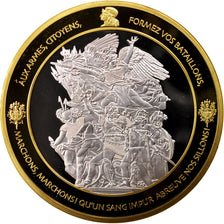 France, Medal, Les piliers de la République, The Fifth Republic, History, FDC