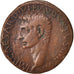 Augustus, As, 4, Roma, S, Copper, Sear:5 1689