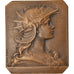 France, Médaille, Marianne Casquée, République Française, Dubois.H, SUP
