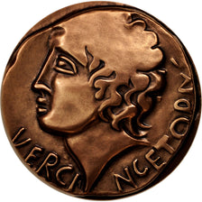 France, Medal, Vercingetorix, History, MS(65-70), Bronze