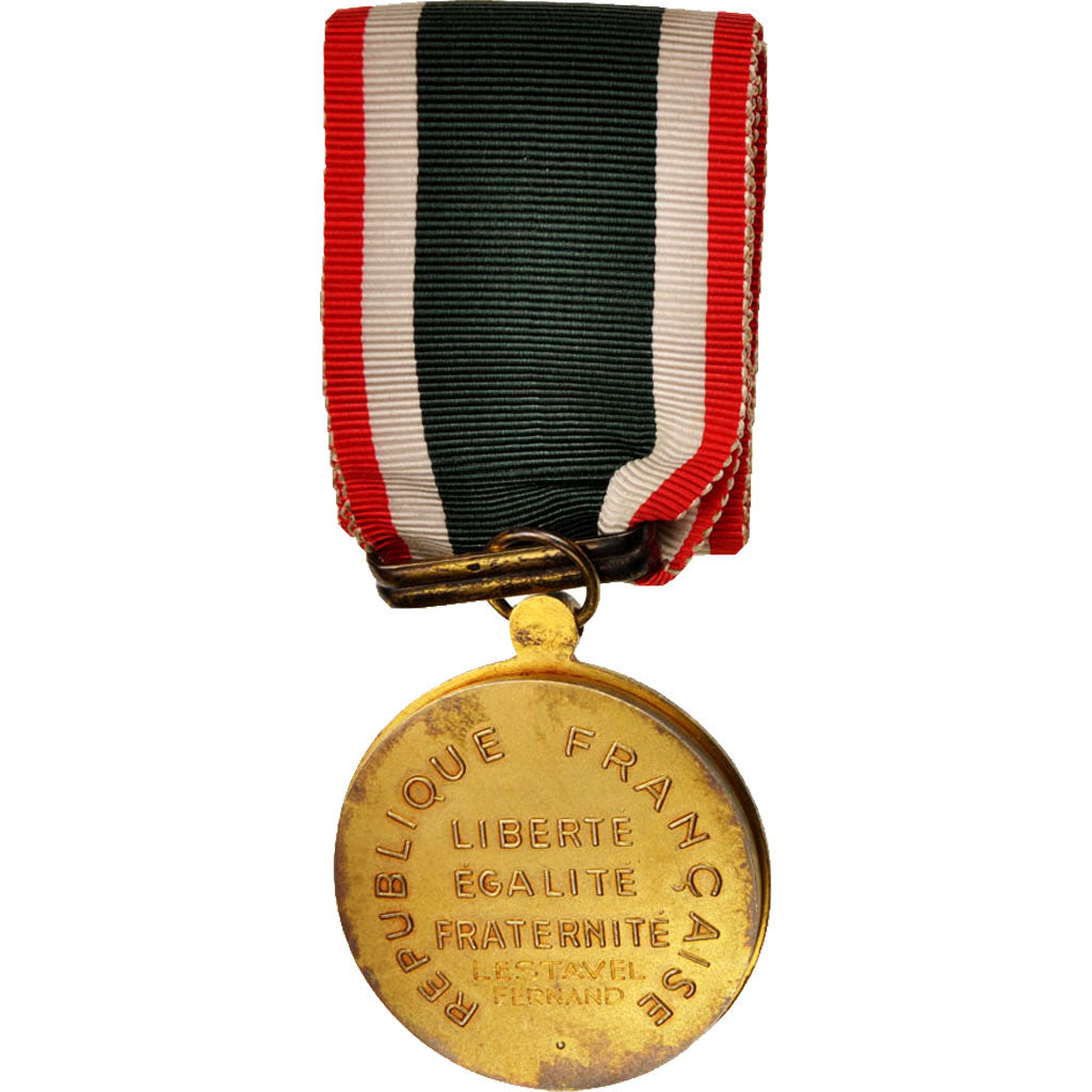 France, Mérite du Travail, Medal, Very Good Quality, Silver and Gold, 38.5