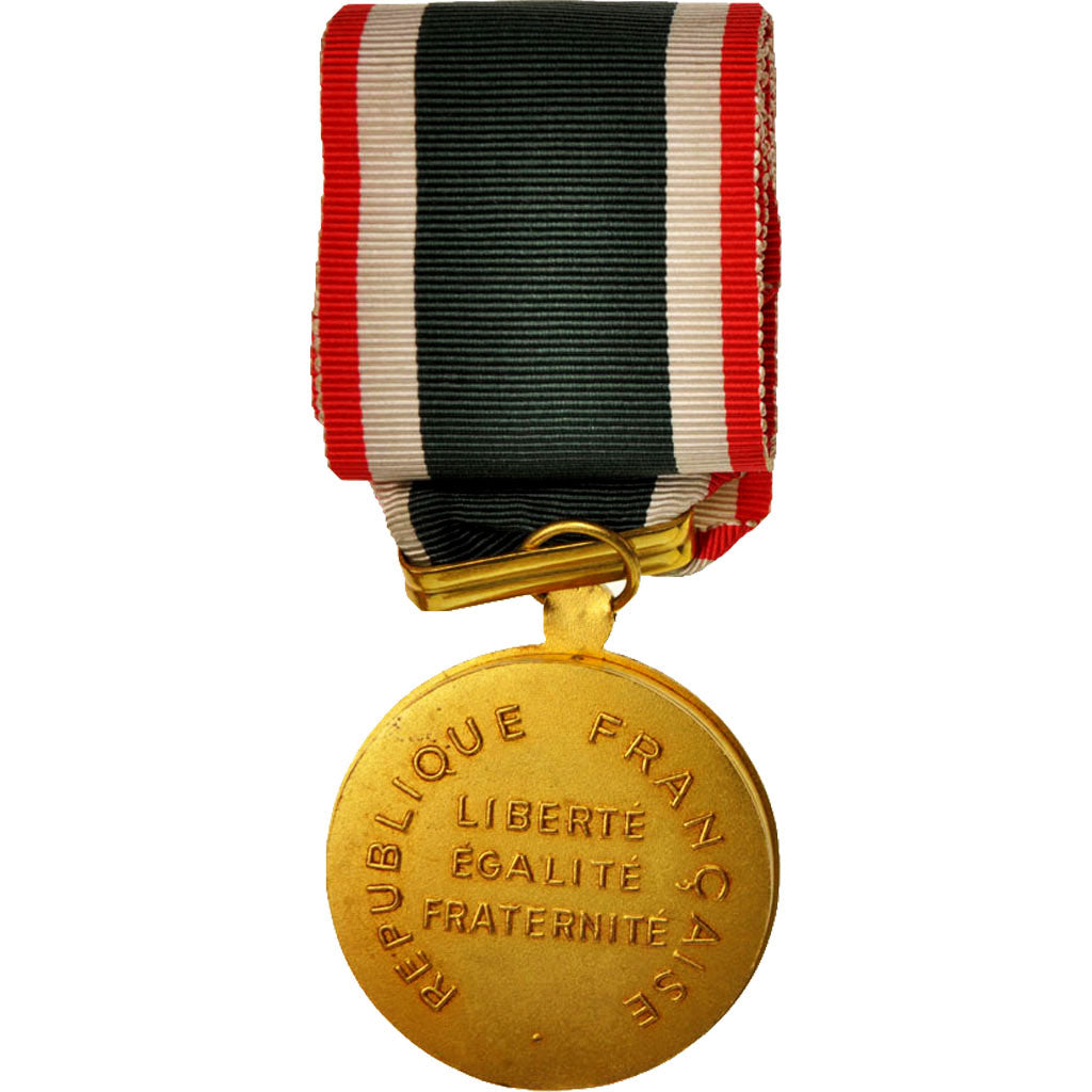 France, Mérite du Travail, Medal, Very Good Quality, Silver and Gold, 38.5