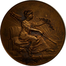 Frankreich, Medal, Syndicat des Brasseurs de la Région du Nord de la France