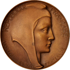 Francia, Medal, M. De Montalembert, Sénateur de La Seine Inférieure
