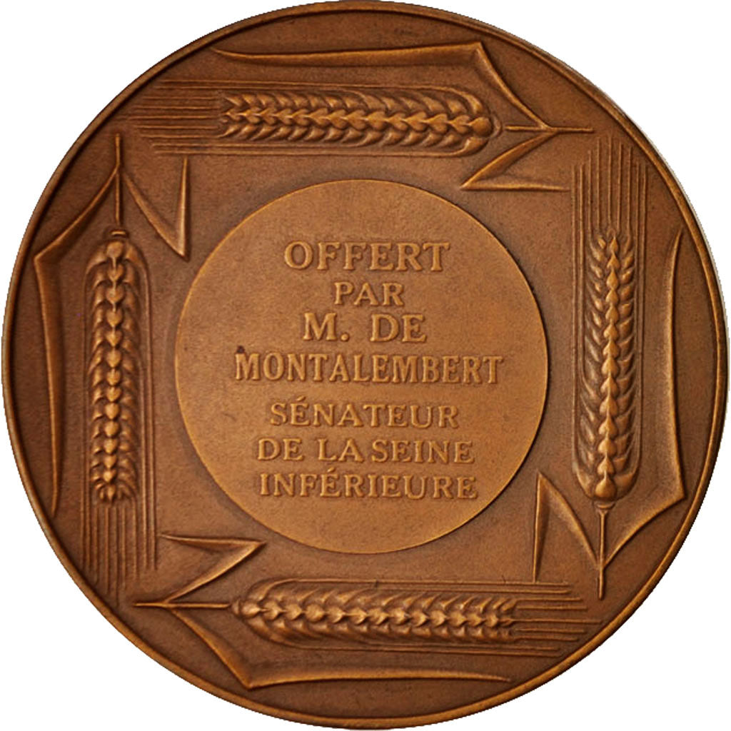 Francia, Medal, M. De Montalembert, Sénateur de La Seine Inférieure