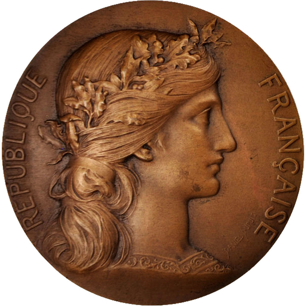 Francia, Medal, Prix du ministre de la Guerre, Politics, Society, War, Dupuis.D
