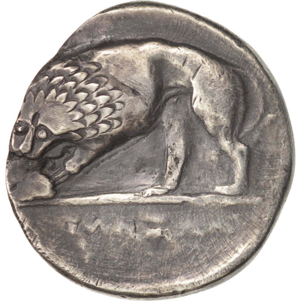 Lucanie, Didrachme, ca. 334-300 BC, Velia, Argent, TTB+, HGC:1-1314, HN