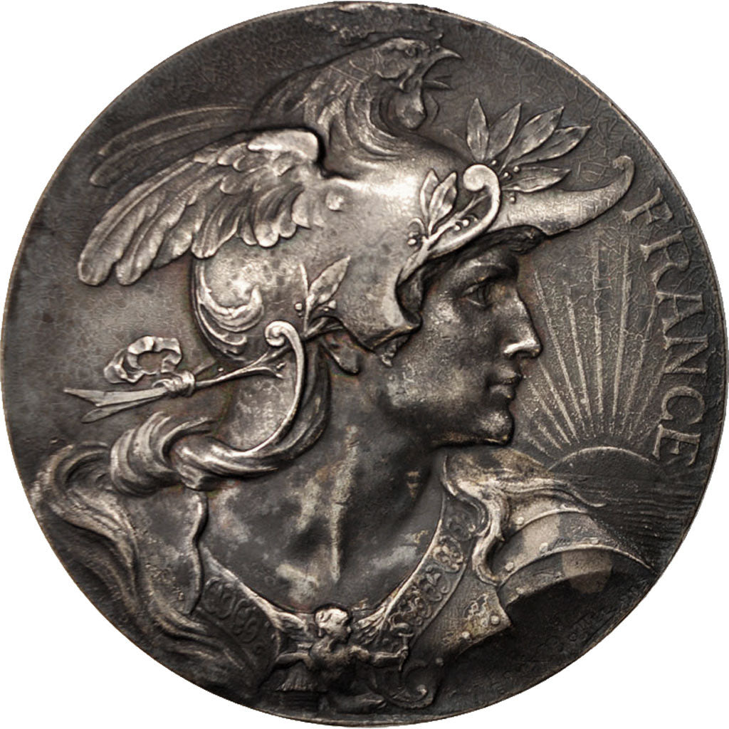France, Medal, La Nationale Incendie, Business & industry, 1928, Bottée