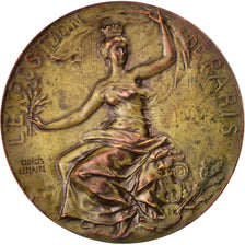 Francia, Medal, Exposition de Paris, Sciences & Technologies, 1900, Lemaire, MB
