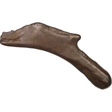 Coin, Sarmatia, Olbia, Dolphin, Olbia, EF(40-45), Bronze