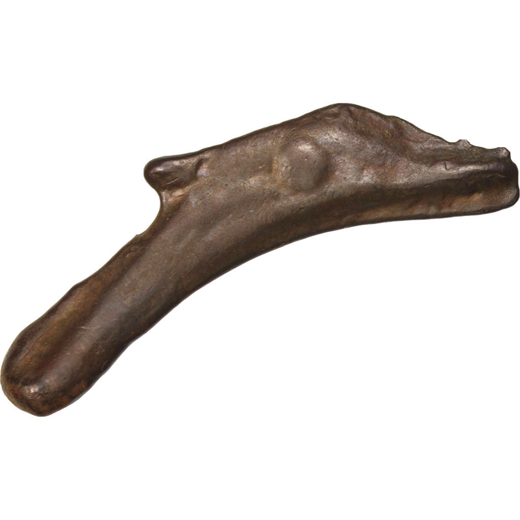 Coin, Sarmatia, Olbia, Dolphin, Olbia, EF(40-45), Bronze
