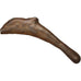 Sarmatia, Olbia, Dolphin, Olbia, EF(40-45), Bronze