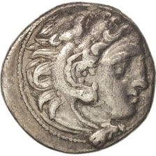 Coin, Kingdom of Macedonia, Drachm, 323-280 BC, EF(40-45), Silver