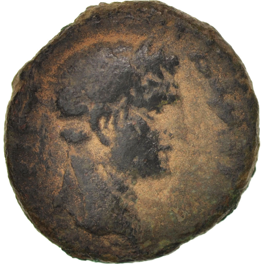 Moneta, Judea, Judea, Herodians dynasty, Agrippa II and Domitian, Bronze Unit