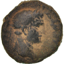 Moneda, Judea, Judea, Herodians dynasty, Agrippa II and Domitian, Bronze Unit