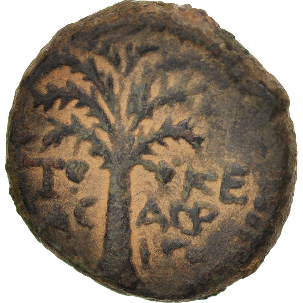 Moneta, Judea, Judea, Herodians dynasty, Agrippa II and Domitian, Bronze Unit