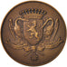 France, Medal, Ville de Valenciennes, Politics, Society, War, SUP, Bronze
