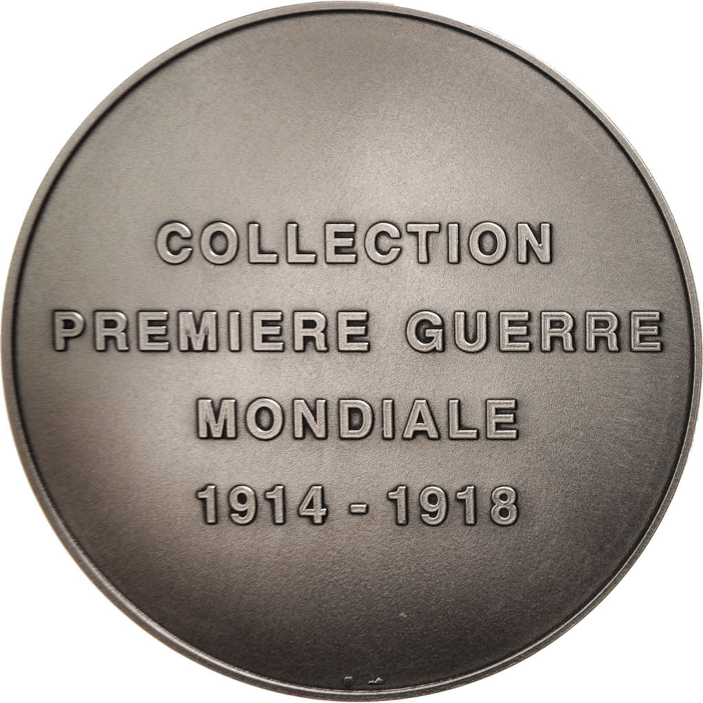 France, Medal, 11 novembre 1920, History, Dammann, MS(65-70), Silvered bronze