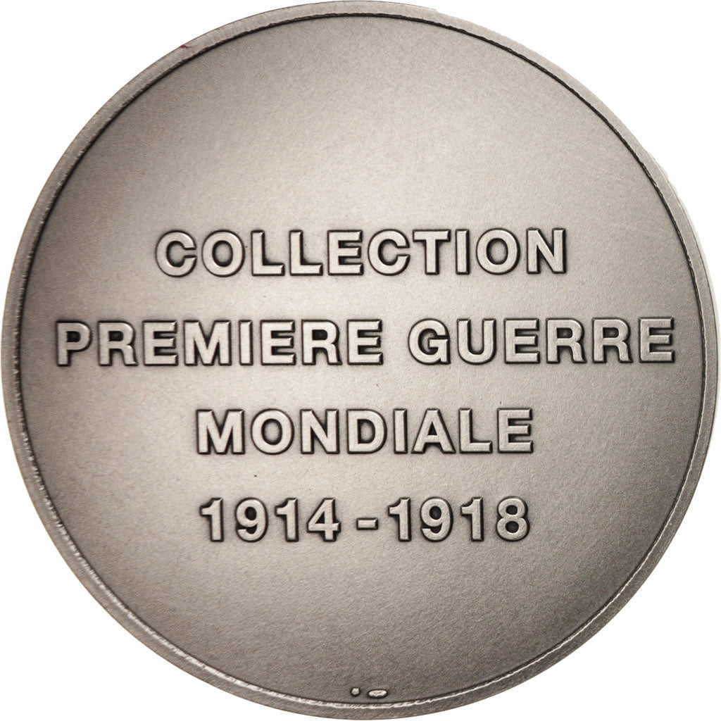 Frankreich, Medal, La France et ses alliés effacent un douloureux souvenir