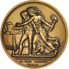 France, Medal, Abdication de Fontainebleau, History, MS(65-70), Bronze