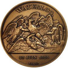 France, Medal, Waterloo, History, MS(65-70), Bronze