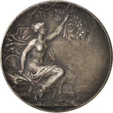 France, Medal, Circuit motorisé du Loiret, Sports & leisure, 1922, Pillet